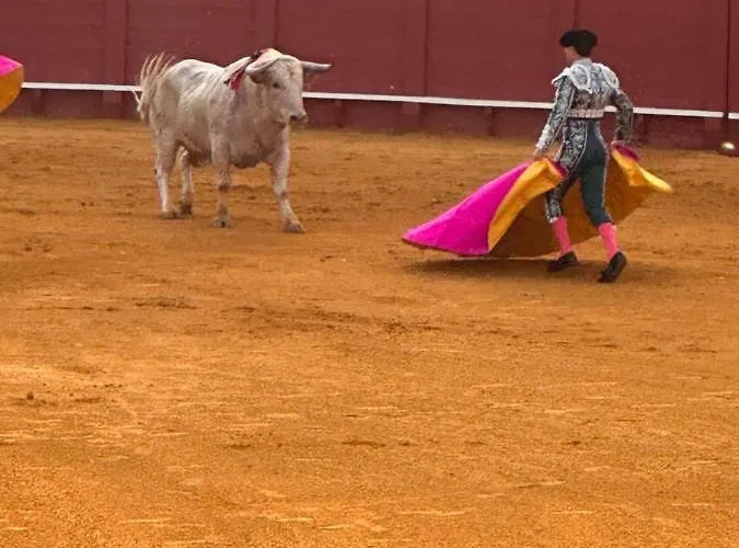 Center 에스테포나